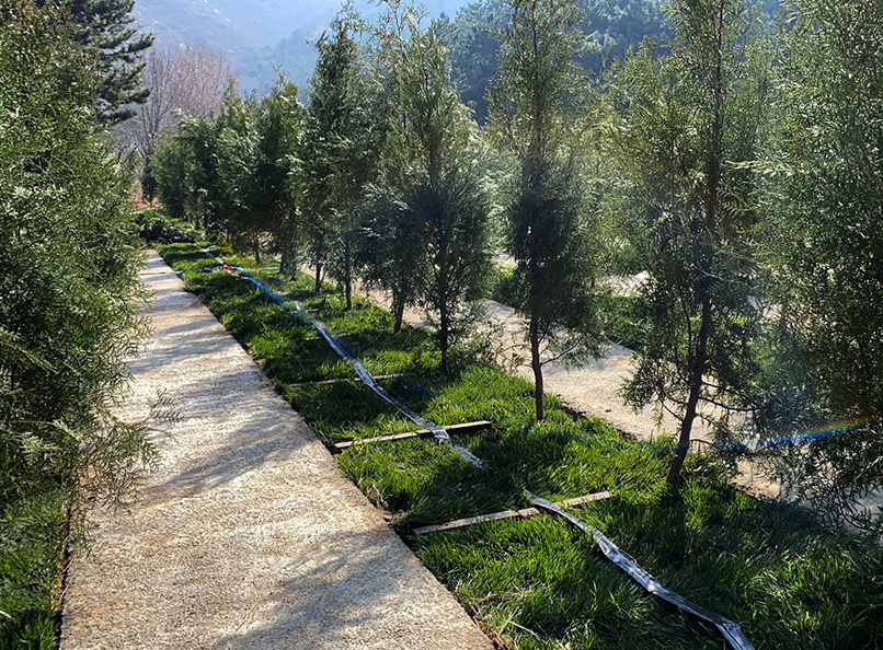 永宁陵园树葬使用年限多久? 永宁陵园树葬使用年限多久?